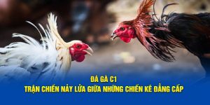 Đá Gà C1: Trận Chiến Nảy Lửa Giữa Những Chiến Kê Đẳng Cấp